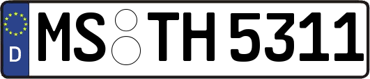 MS-TH5311