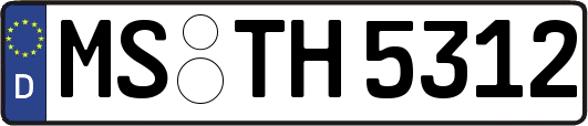 MS-TH5312