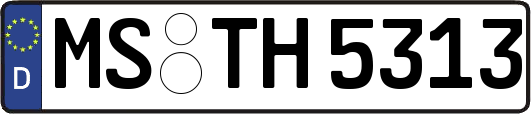 MS-TH5313