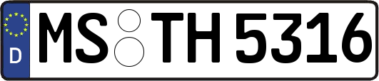MS-TH5316