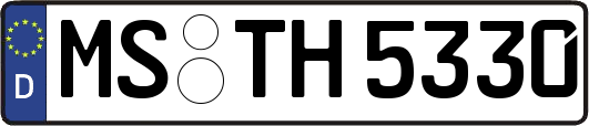 MS-TH5330