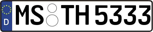 MS-TH5333