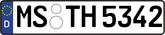 MS-TH5342