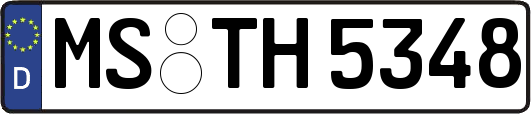 MS-TH5348