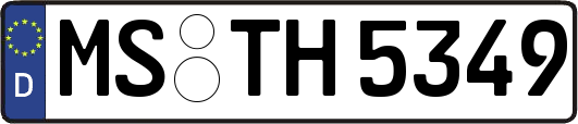 MS-TH5349