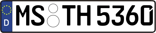 MS-TH5360