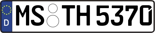 MS-TH5370