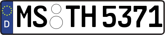 MS-TH5371