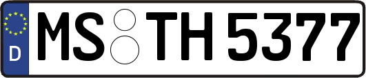 MS-TH5377