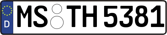 MS-TH5381