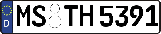 MS-TH5391