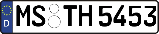 MS-TH5453