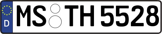 MS-TH5528