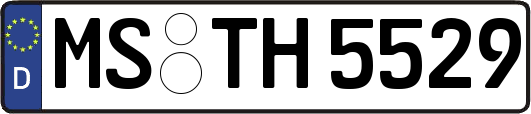 MS-TH5529