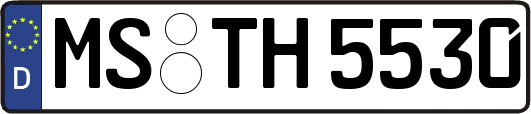 MS-TH5530