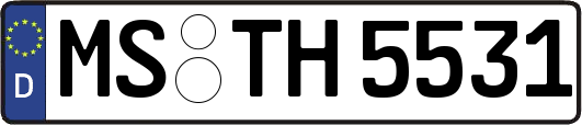 MS-TH5531