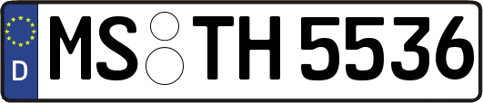 MS-TH5536