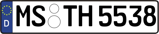 MS-TH5538