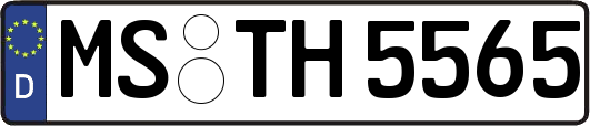 MS-TH5565
