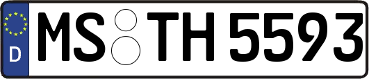 MS-TH5593