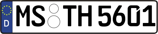 MS-TH5601