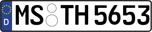 MS-TH5653