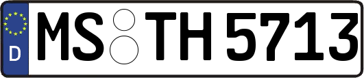 MS-TH5713