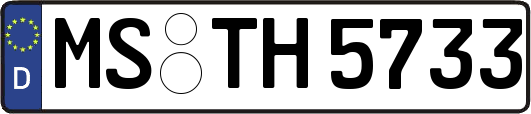 MS-TH5733