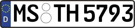 MS-TH5793