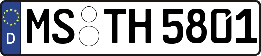 MS-TH5801