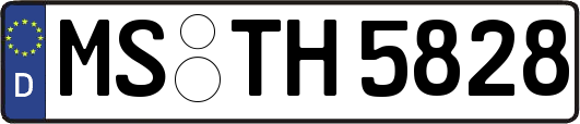 MS-TH5828