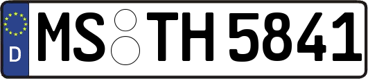 MS-TH5841