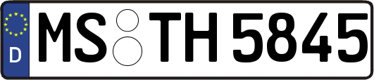 MS-TH5845