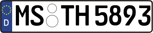 MS-TH5893