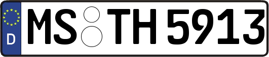 MS-TH5913