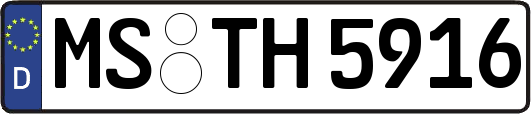 MS-TH5916