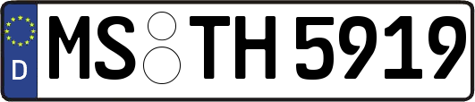 MS-TH5919