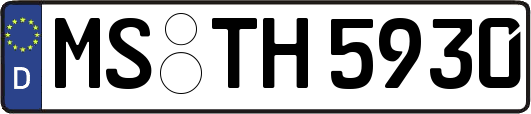 MS-TH5930