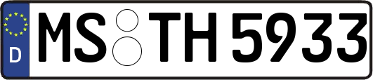 MS-TH5933