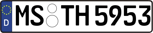 MS-TH5953