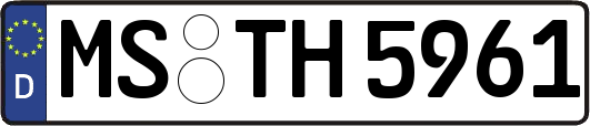 MS-TH5961