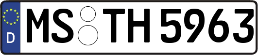 MS-TH5963