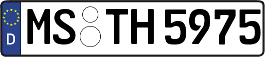 MS-TH5975