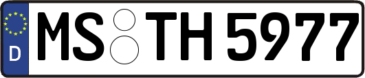 MS-TH5977