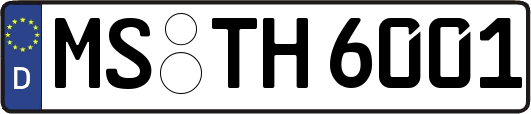 MS-TH6001