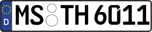 MS-TH6011