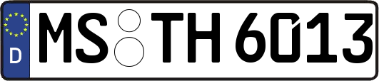 MS-TH6013