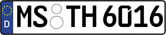 MS-TH6016