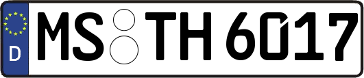 MS-TH6017