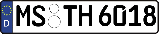 MS-TH6018
